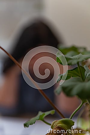 Blurry silhouette of a Brunette woman sitting at a table with her head in her hands. The concept of loneliness, despair Stock Photo