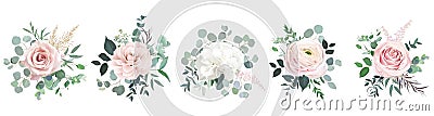 Blush pink roses, ranunculus, camellia, white hydrangea vector design bouquets. Vector Illustration