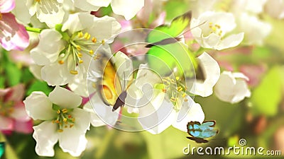 Blühende Blumen und Schmetterlinge, Blühende Blumen und Schmetterlinge,