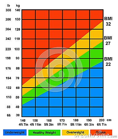 BMI Stock Photo