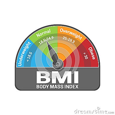 BMI Body Mass Index Calculate Illustration or Infographic Chart. Underweight, Normal, Overweight and Obese Vector Illustration