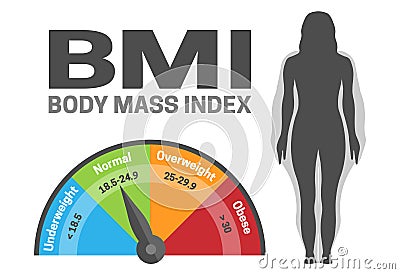 BMI Body Mass Index Infographic Vector Illustration with Woman Silhouette from Normal to Obese Weight Weight loss or Gain Vector Illustration