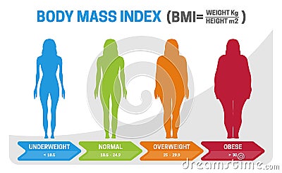 BMI Body Mass Index Vector Illustration with Woman Silhouette from Underweight to Obese. Obesity degrees with different weight Vector Illustration