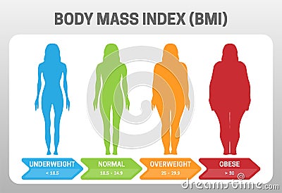BMI Body Mass Index Vector Illustration with Woman Silhouette from Underweight to Obese. Obesity degrees with different weight Vector Illustration