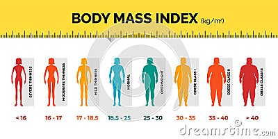 BMI classification chart measurement woman colorful infographic with ruler. Female Body Mass Index scale collection from Vector Illustration