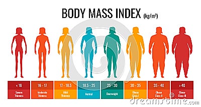 BMI classification chart measurement woman set. Female Body Mass Index infographic with weight status from underweight Vector Illustration