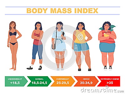 BMI for women. Body mass index chart based on height and weight, flat vector illustration. Vector Illustration