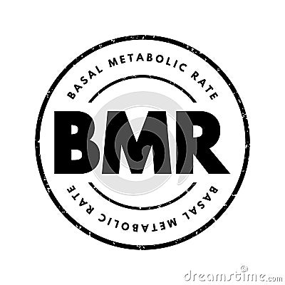 BMR Basal Metabolic Rate - number of calories you burn as your body performs basic life-sustaining function, acronym text stamp Stock Photo