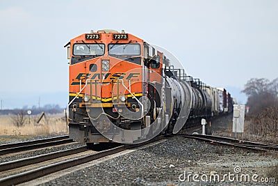 BNSF mixed freight goods train lead by ES44DC locomotive with logo Editorial Stock Photo
