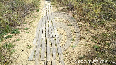 A board trail is laid along the sand on the beach among the plants Stock Photo