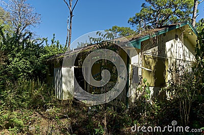 Boarded up abandoned house overgrown in florida Stock Photo