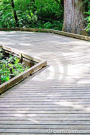 green forest with a boardwalk Stock Photo