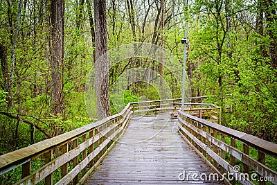 Boardwalk at Lake Roland Park, in Baltimore, Maryland. Stock Photo