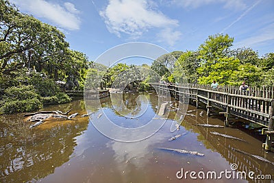 Boardwalk At The Rookery Inside Alligator Farm In St. Augustine Editorial Stock Photo