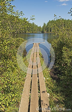 Boardwalk Leading to Swamp Lake Stock Photo