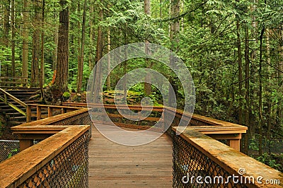 Boardwalk in lynn valley forest Stock Photo