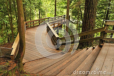 Boardwalk in lynn valley forest Stock Photo