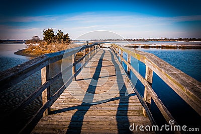 Boardwalk through marshes at Assateague Island National Seashore, MD Stock Photo