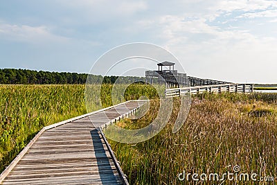 Boardwalk Through Marshland Leading to Bodie Island Lighthouse Observation Point Stock Photo