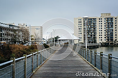 Boardwalk over Lake Holly, in Virginia Beach, Virginia. Editorial Stock Photo