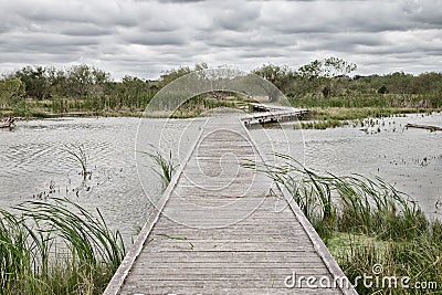 Boardwalk over the lake in the park Stock Photo