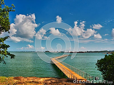 Boardwalk over water at Chek Jawa wetland Editorial Stock Photo