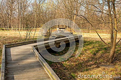 A Boardwalk in a Park Stock Photo