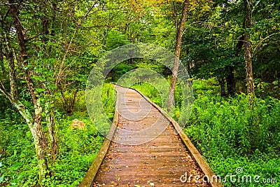 Boardwalk path along the Limberlost Trail in Shenandoah National Stock Photo