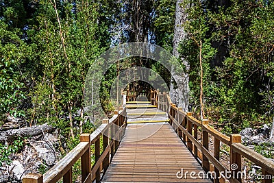 Boardwalk path at Arrayanes National Park - Villa La Angostura, Patagonia, Argentina Stock Photo