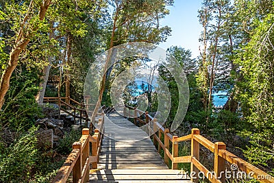 Boardwalk path at Arrayanes National Park - Villa La Angostura, Patagonia, Argentina Editorial Stock Photo