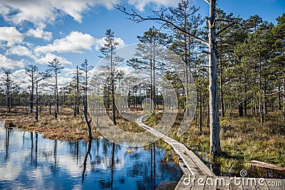 Boardwalk path through wetlands area in early spring. Stock Photo