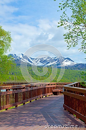 Boardwalk at Potters Marsh Stock Photo