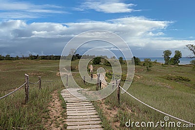 A boardwalk through sand dunes with grasses, shrubs and trees along Lake Michigan at Kohler Andrae State Park Stock Photo