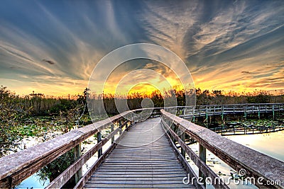 Everglades Sunset - Boardwalk to Burning Skies - Anhinga Trail Stock Photo