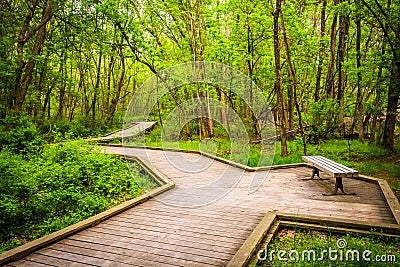 Boardwalk trail through the forest at Wildwood Park Stock Photo