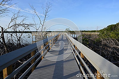 Boardwalk on West Lake in Everglades National Park, Florida at sunrise. Stock Photo