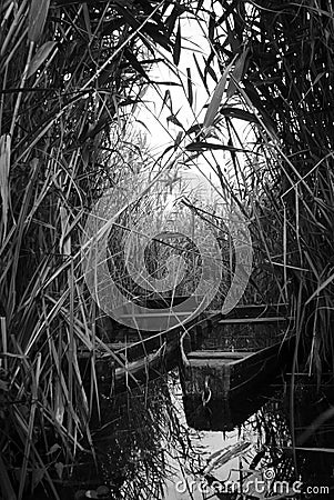 Boat on lake Stock Photo