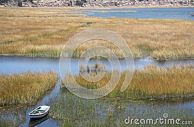 Boat in reeds of Titicaca lake, Copacabana, Bolivia Stock Photo