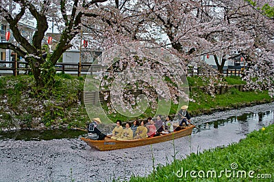 Boat ride under Sakura Editorial Stock Photo