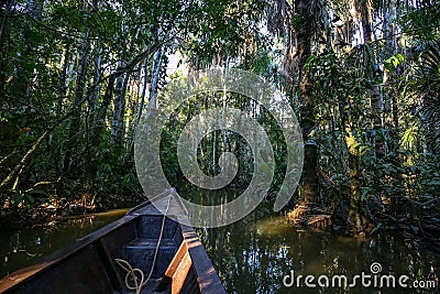 Boat on the Sandoval lake. Puerto Maldonado, Peru Stock Photo