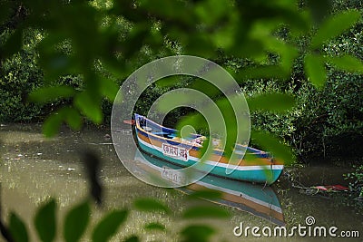 Boat with the text "Mother goddess" in Indian on a lake in the middle of a forest Editorial Stock Photo