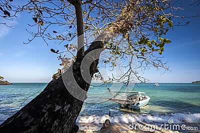 Boat Tied Up With a Tree. Ocean Beach Stock Photo