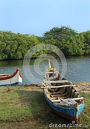 Boats on the backwater small harbor with mangrove trees. Stock Photo