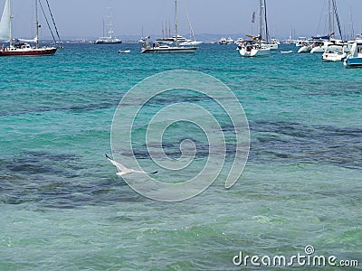 Boats close to a beach Stock Photo