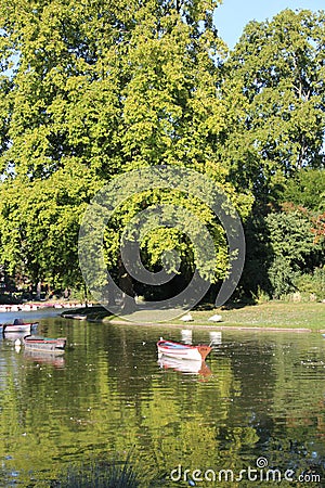 Boats on a lake and trees reflected in the water Stock Photo