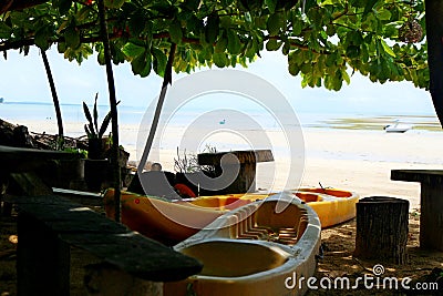 Boats, wooden benches and fishing articles in the large tree shadow. Beach in a bright sunny day Stock Photo