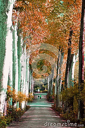 Boboli gardens in Florence, Italy Stock Photo