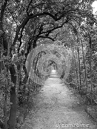 Boboli Gardens Pathway Stock Photo