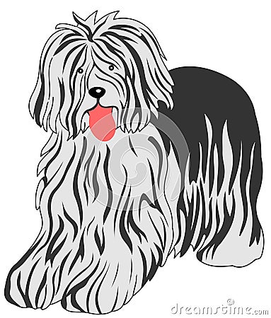 Bobtail dog Vector Illustration