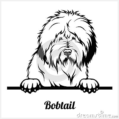 Bobtail - Peeking Dogs - breed face head isolated on white Vector Illustration